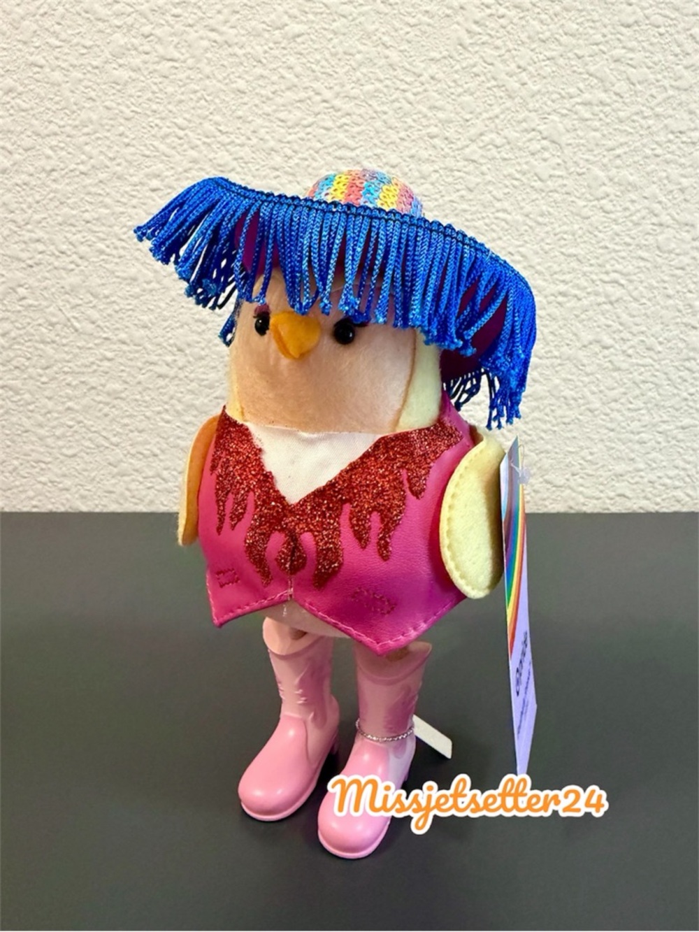 Target Featherly Friends PRIDE Chappell Roan Cowgirl Bird New Western Rainbow